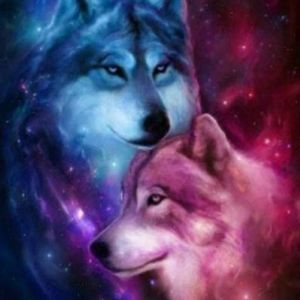 Meet your Posher, Evelyn